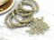 *50* 5mm Turquoise Washed Honey Beige Picasso Daisy Flower Spacer Beads